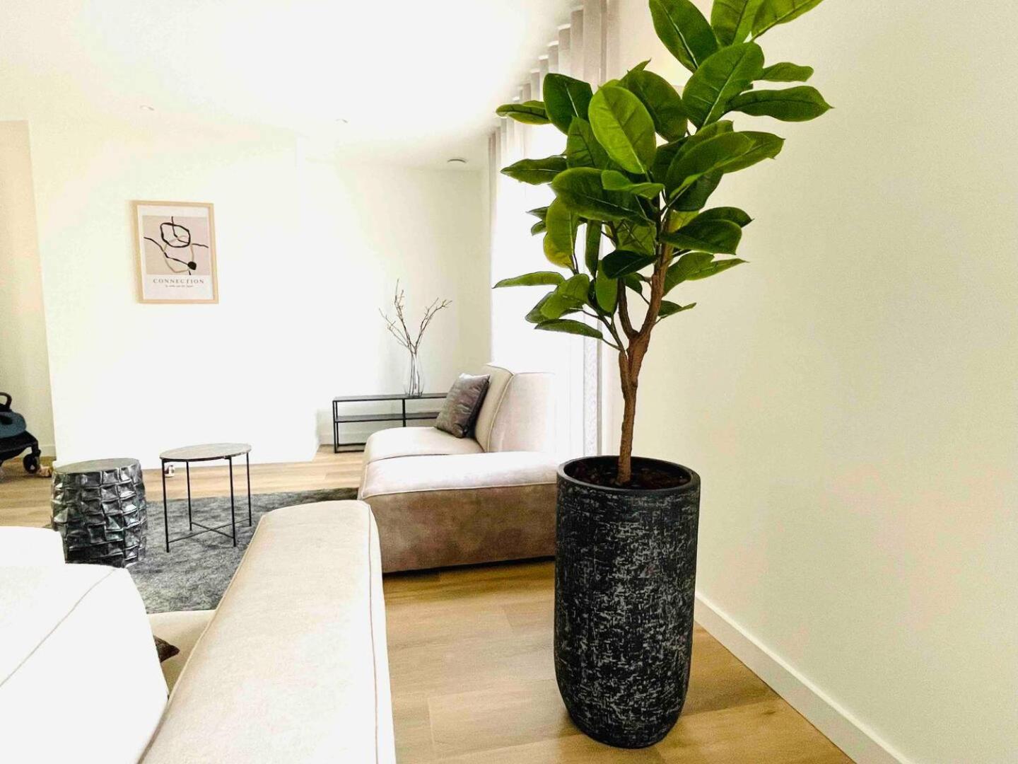 New Apartment In City Centre Large Ойршот Екстериор снимка
